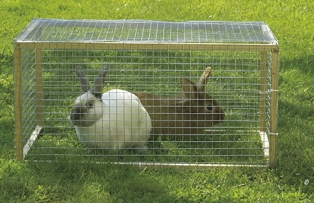 Grillage Petites Mailles - Fensanet Galvanisé - Maille 19 X 0,14 Mm - Longueur 5 M - H 100 Cm 1 Grillage Petites Mailles - Fensanet Galvanisé - Maille 19 X 0,14 Mm - Longueur 5 M - H 100 Cm