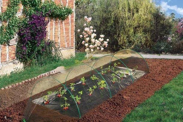 Filet Easynet - 2 X 10m