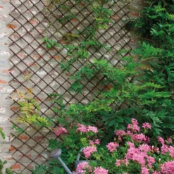 Treillis Extensible - Trellis Willow -200 X 100 Cm -Parfum Herbe Soldes Magasin 1439555 1411626 3 trellis willow 1