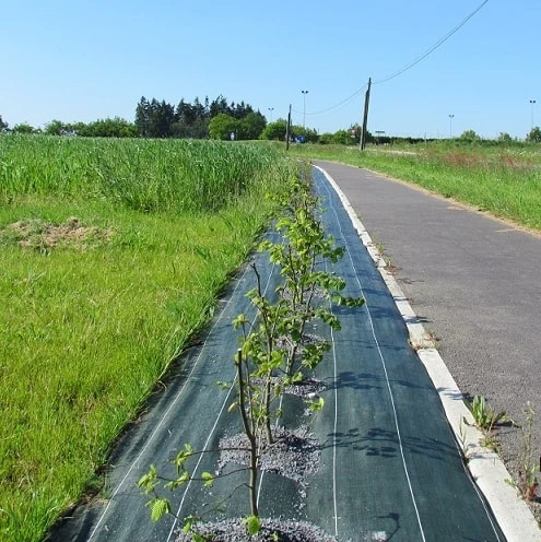 Toile De Paillage - 100 G - Vert - 1,25x 10m - Teragile