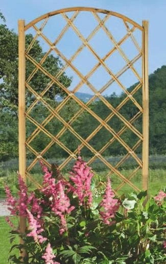 Treillis Bamboo - Arc - 50 X 170 Cm