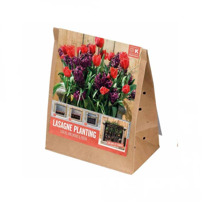 Kit Bulbes Plantation Lasagnes - Rouge Et Violet 2 Kit Bulbes Plantation Lasagnes - Rouge Et Violet – Image 2