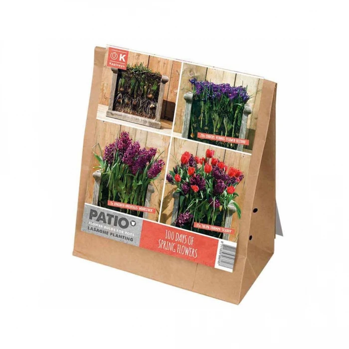 Kit Bulbes Plantation Lasagnes - Rouge Et Violet 1 Kit Bulbes Plantation Lasagnes - Rouge Et Violet