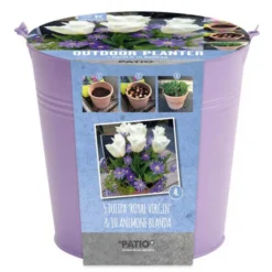 Kit Bulbes Et Pot Tulipes Et Anémones