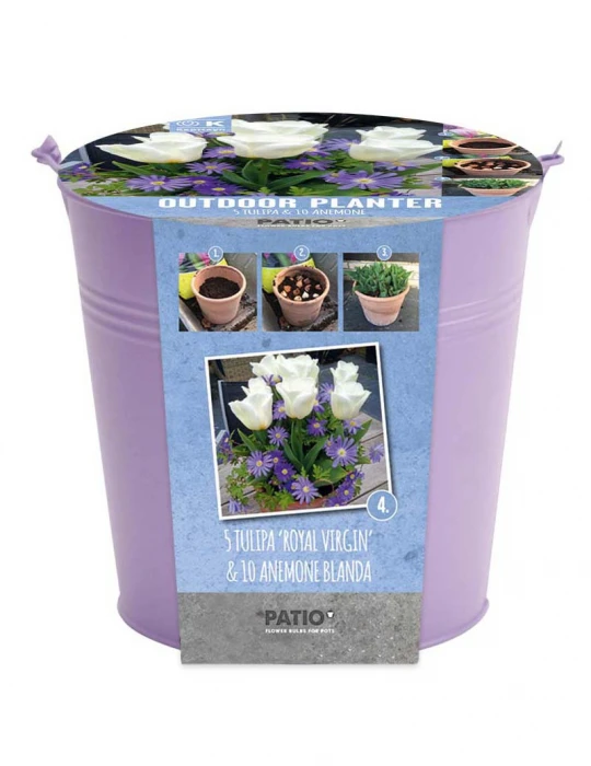 Kit Bulbes Et Pot Tulipes Et Anémones 1 Kit Bulbes Et Pot Tulipes Et Anémones