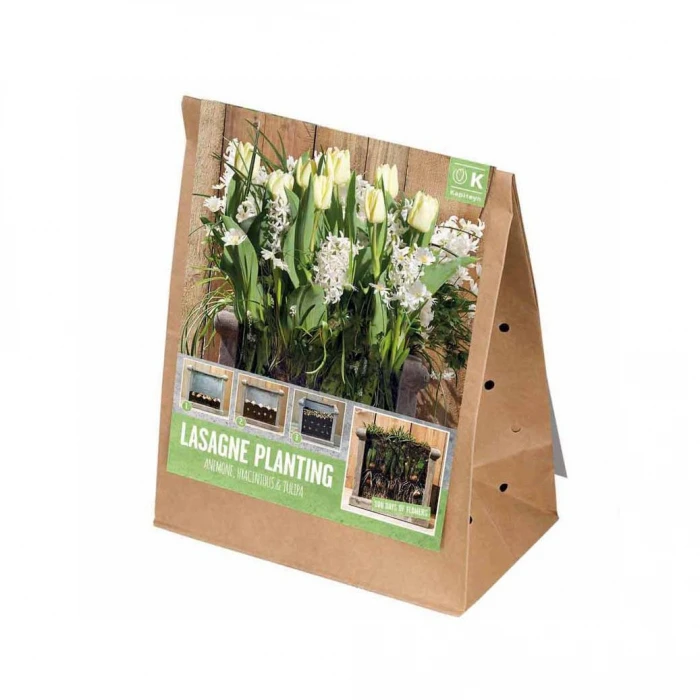 Kit Bulbes Plantation Lasagnes - Blanc 2 Kit Bulbes Plantation Lasagnes - Blanc – Image 2