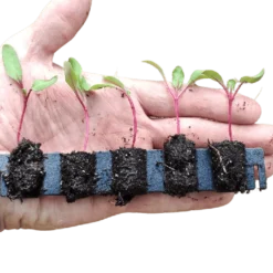 Kit De Germination S 41 Plants - Germie 6 Kit De Germination S 41 Plants - Germie -Parfum Herbe Soldes Magasin 1596834 germie 41plants 2 1