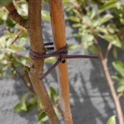 Tomatoclips Pour Tuteur Arceaux - Nortene- X10