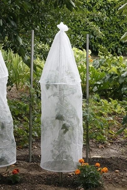 Tomato Cover Ø40 X 1,50m - Lot De 3 1 Tomato Cover Ø40 X 1,50m - Lot De 3