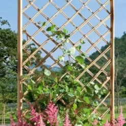 Treillis Bamboo - Droit - 50 X 170 Cm