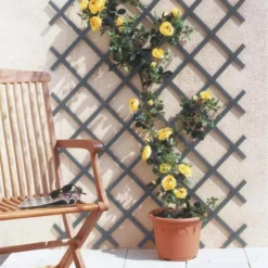 Treillis Extensible - Mini Treillis PVCgris - 150 X 50 Cm