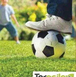 Gazon Sport Et Jeux - Teragile - 25kg