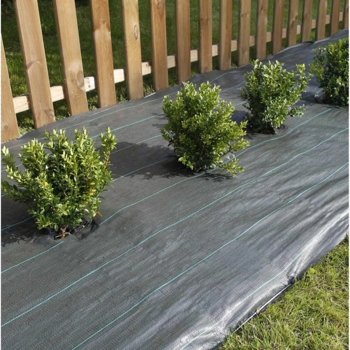 Film Noir 150µ - 6 X 10m – Image 2