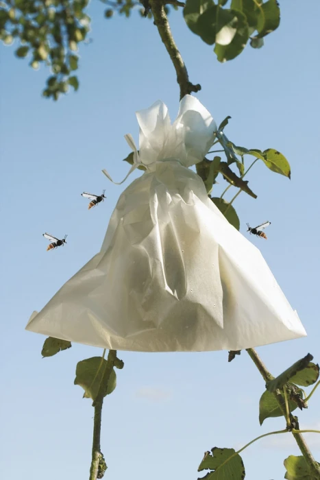 Housse Fruit Sac - 20 X30 1 Housse Fruit Sac - 20 X30