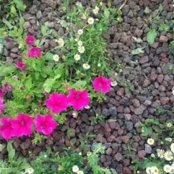 Pouzzolane Big 1/4m3 Daoulas - Negomat