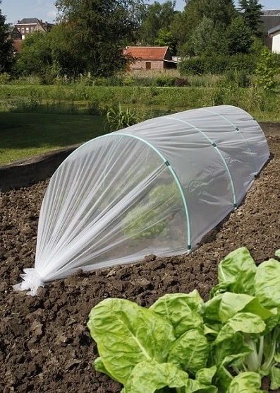 Film Biocontrol - 1m40 X 5m