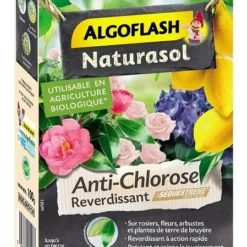 Anti-chlorose Reverdissant - Algoflash - 100 G
