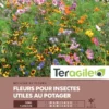 Fleurs Pour Insectes Utiles Au Potager - Graines Pour 100 M² - Teragile