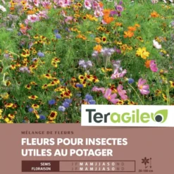 Fleurs Pour Insectes Utiles Au Potager - Graines Pour 100 M² - Teragile