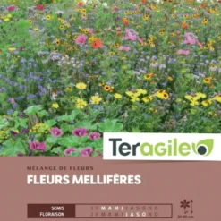 Mélange De Fleurs Méllifères - Graines Pour 100 M² - Teragile