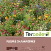 Mélange De Fleurs Champêtres- Graines De 100m² - Teragile