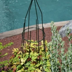 Tuteur Mini Grimpante Pyramide Rond -Moulin Louis - Vert - 1,20 X 0,27 M -Parfum Herbe Soldes Magasin 1823303 tuteur mini grimpante pyramide rond moulin louis vert 1 20x0 27 m 3 min