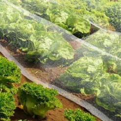 Filet De Protection Anti Insectes - Celloplast - 4x6 M