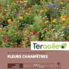 Mélange De Fleurs Champêtres Pour Jachère - Graines Pour 300 M² - Teragile