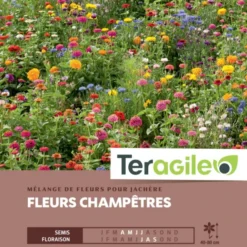 Mélange De Fleurs Champêtres Pour Jachère - Graines Pour 300 M² - Teragile