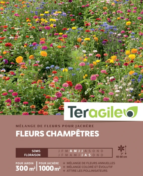 Mélange De Fleurs Champêtres Pour Jachère - Graines Pour 300 M² - Teragile 1 Mélange De Fleurs Champêtres Pour Jachère - Graines Pour 300 M² - Teragile