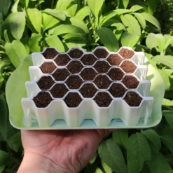 Kit De Semis M 25 Plants - Germie