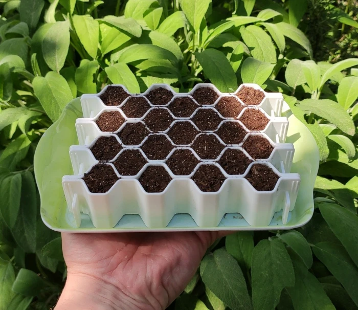 Kit De Semis M 25 Plants - Germie 1 Kit De Semis M 25 Plants - Germie