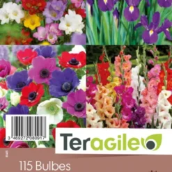 Collection Bouquetto Pour Faire Des Bouquets - X115 - Teragile