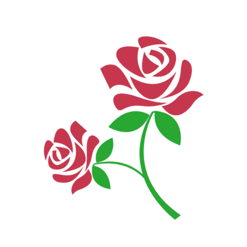 Parfum Herbe Soldes Magasin